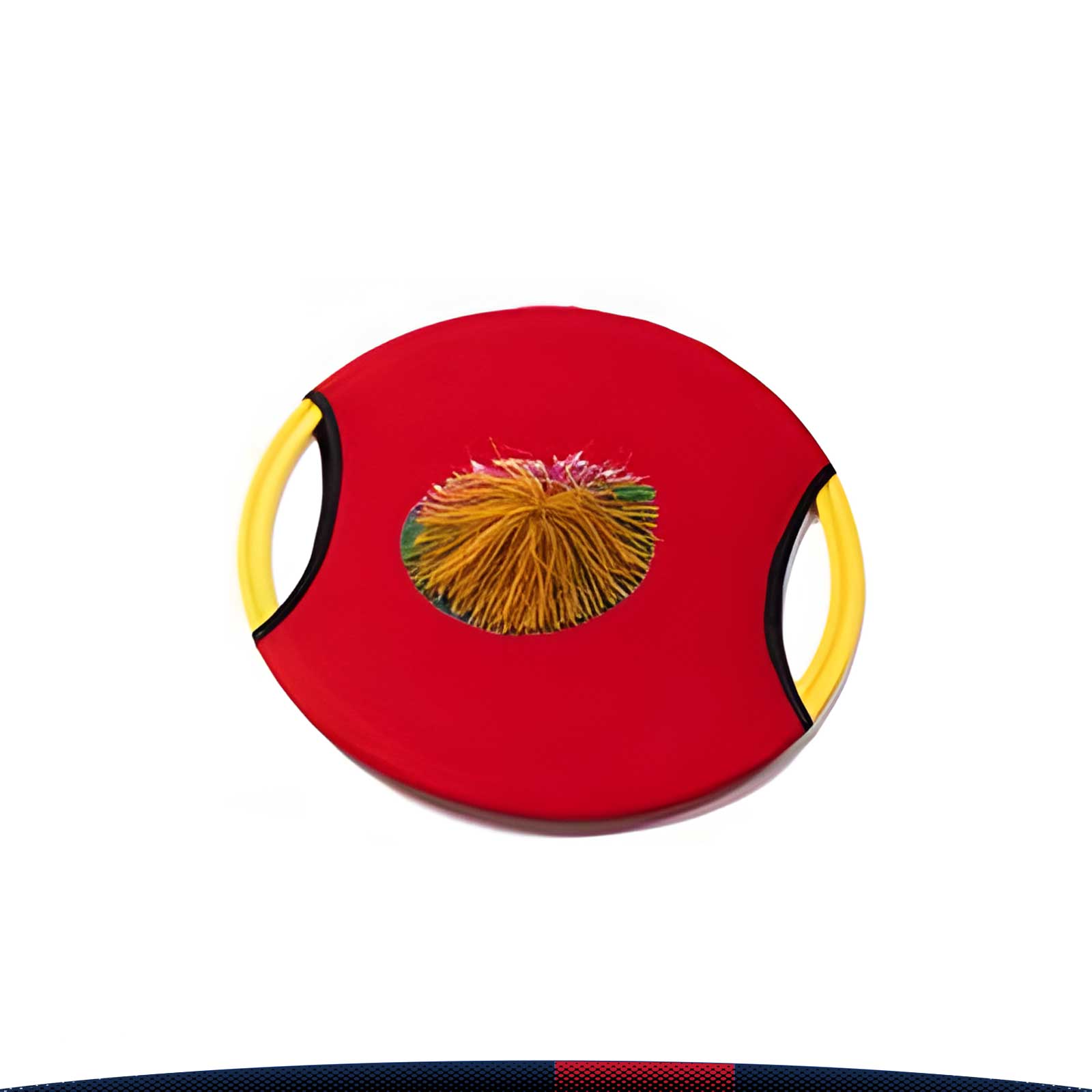 Ball Throwing Disc 4