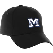 Unisex DOMINATE Ballcap 253