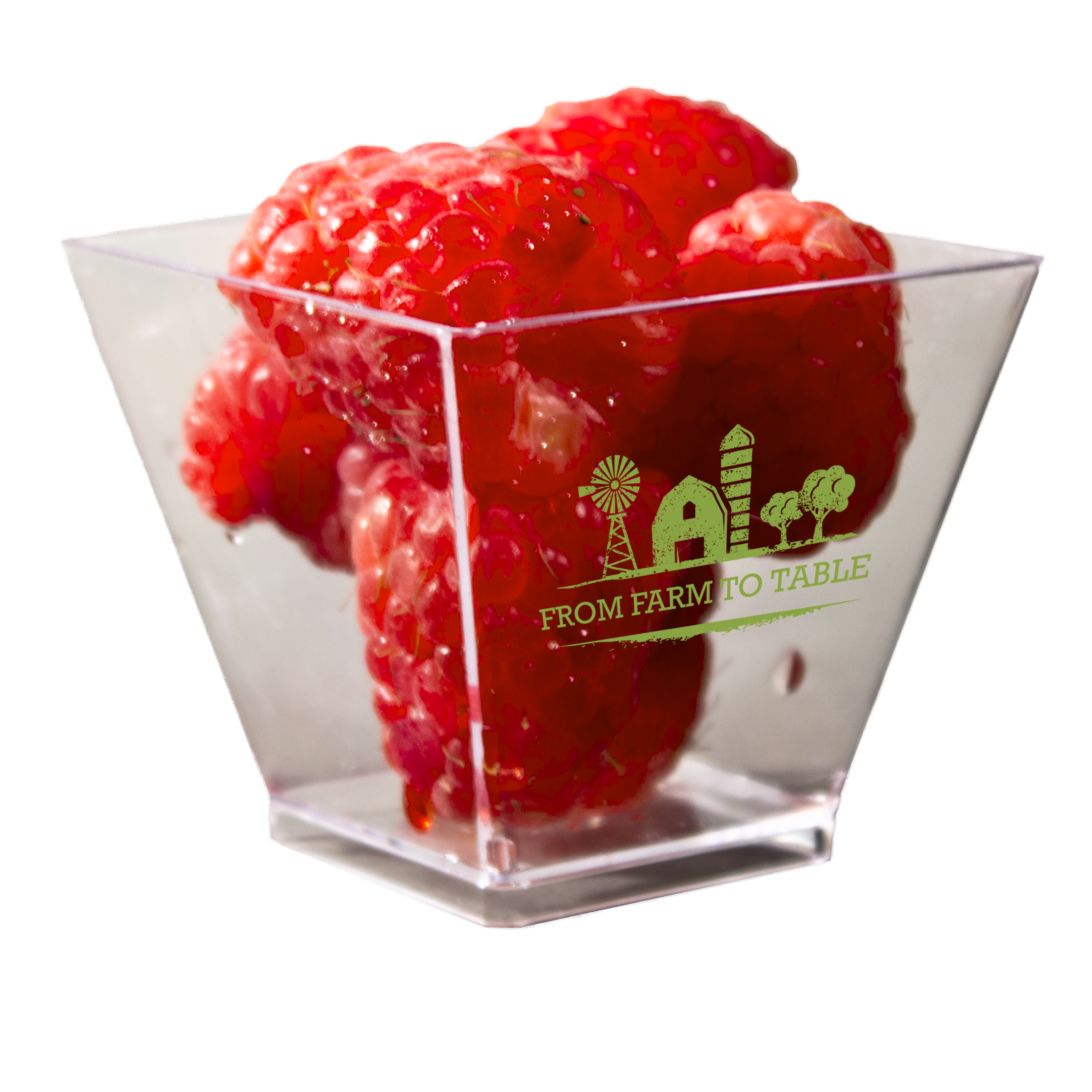 1 75oz Clear Plastic Square Taste Cup