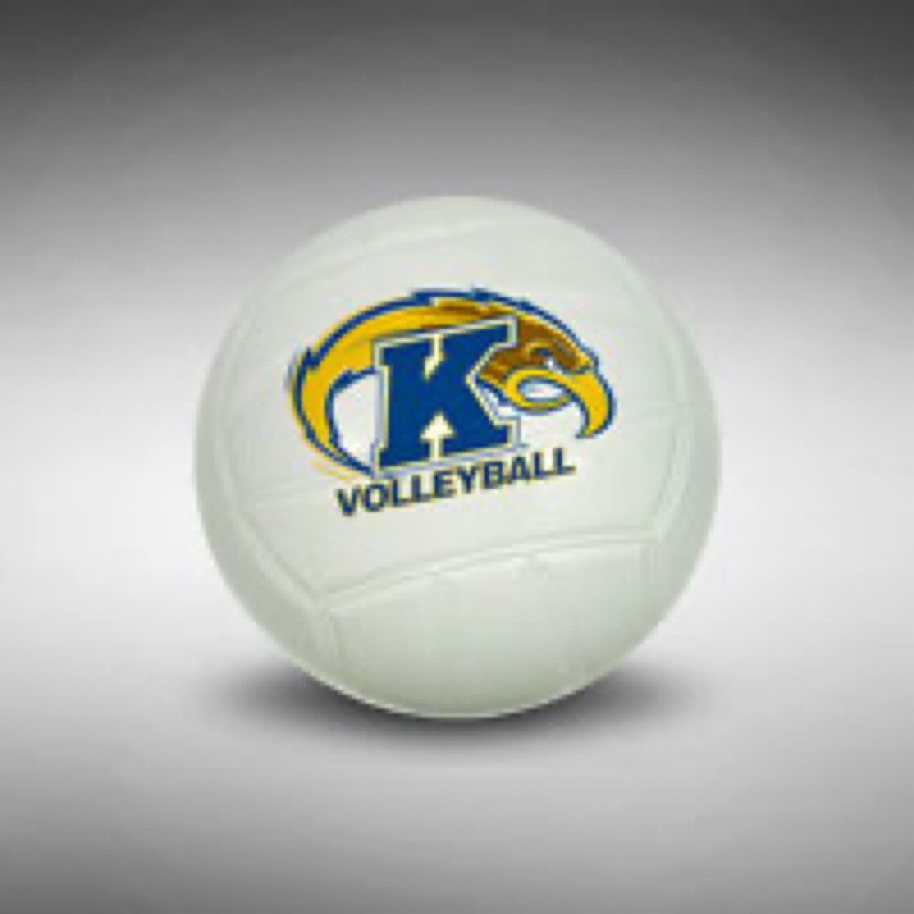 4" Mini Volleyball-White Top