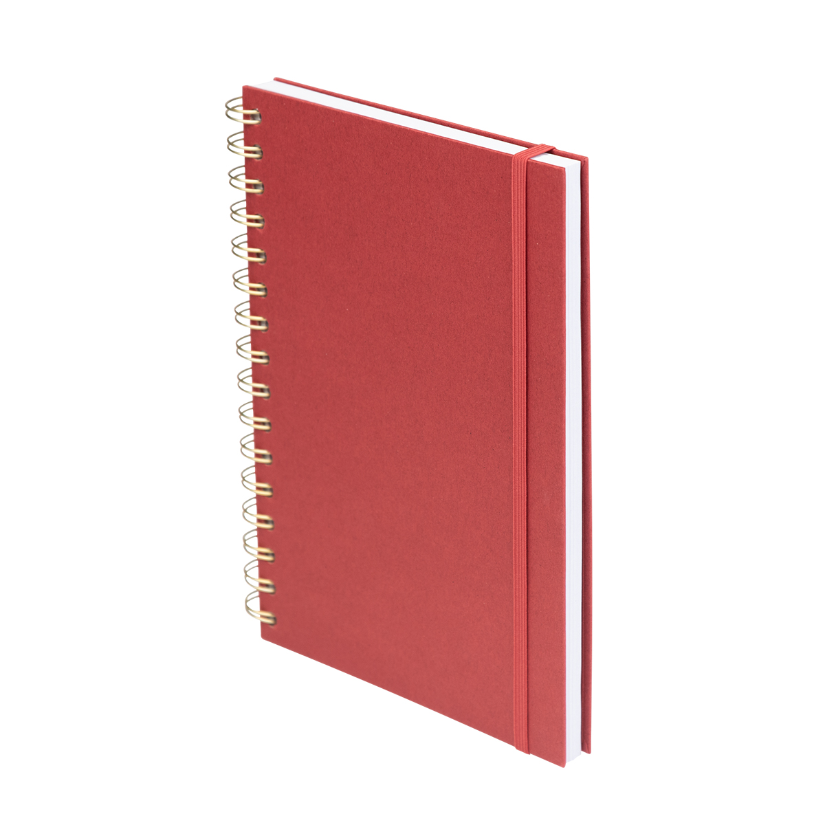 Fruit Paper Spiral Notebook 8