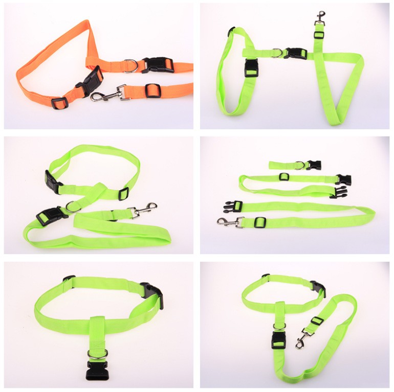 pet running leash 2