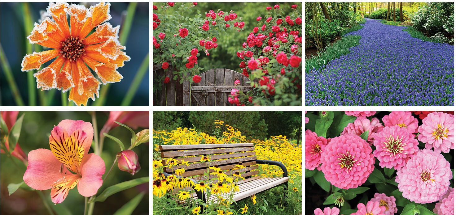 GARDEN DESK CALENDAR 1