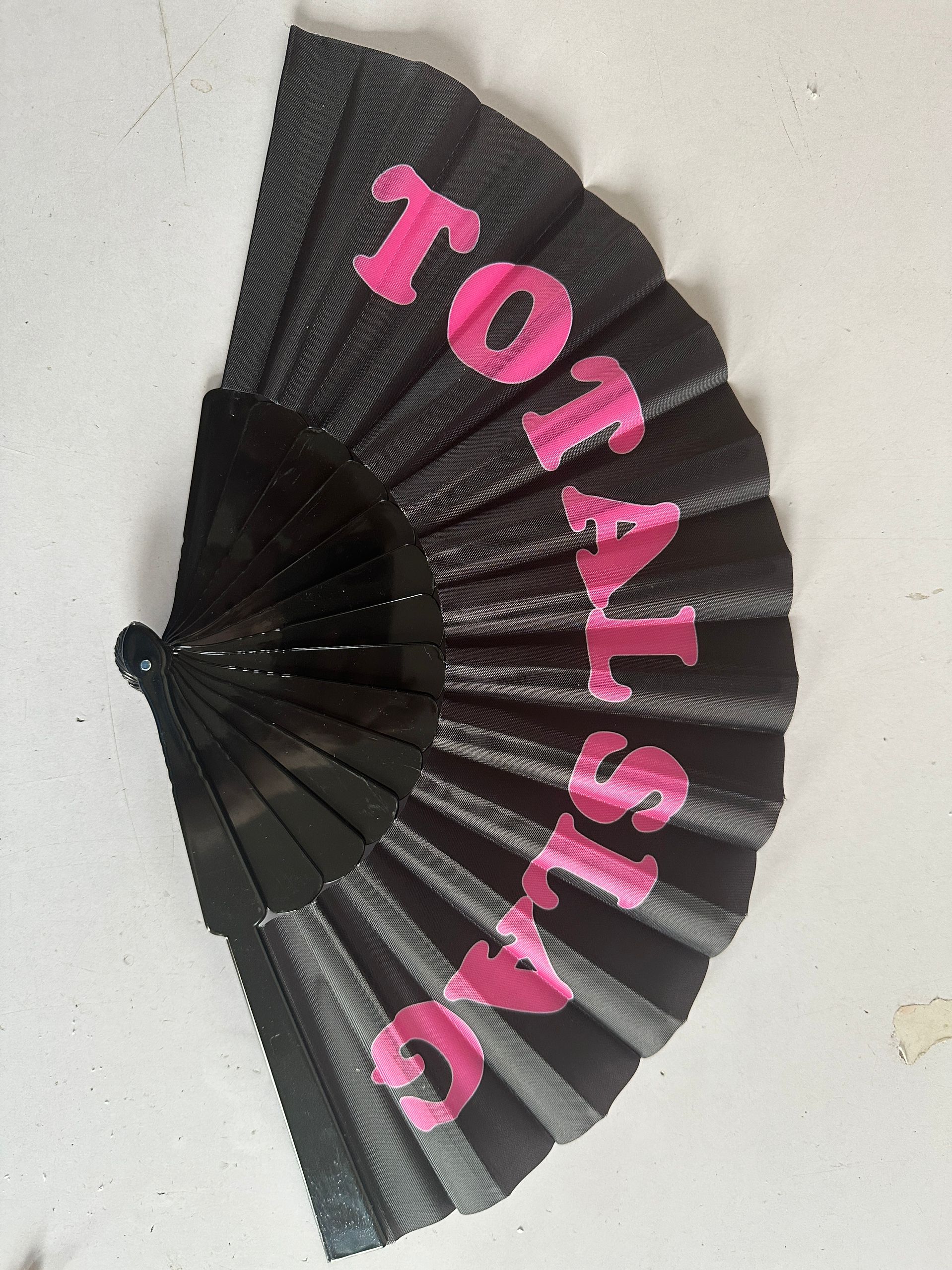 Folding Plastic Hand Fan 2