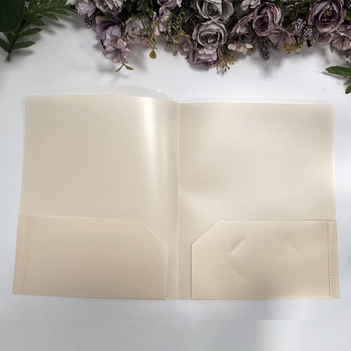 Folders With Pockets PP Plastic Office 10