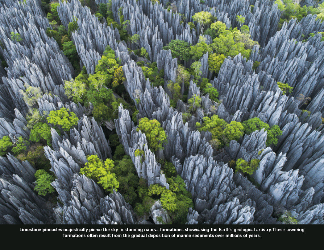Good Value™ The Power of Nature - Stapled Calendar 1