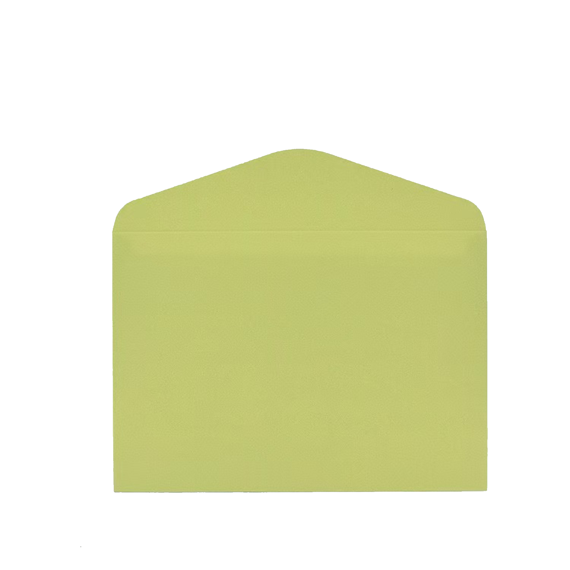 Premium Business Gold Embossed Envelope 6