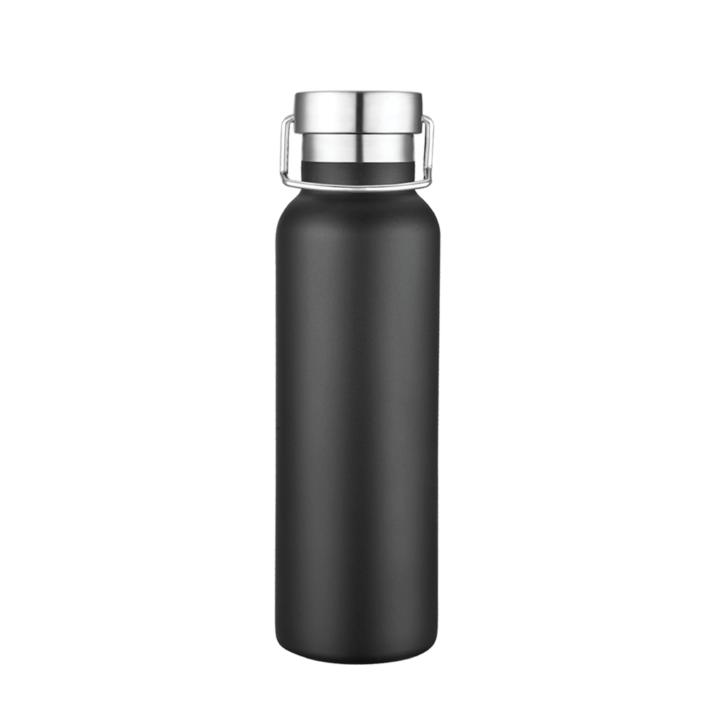 Slate 20oz Vaccuum Bottle