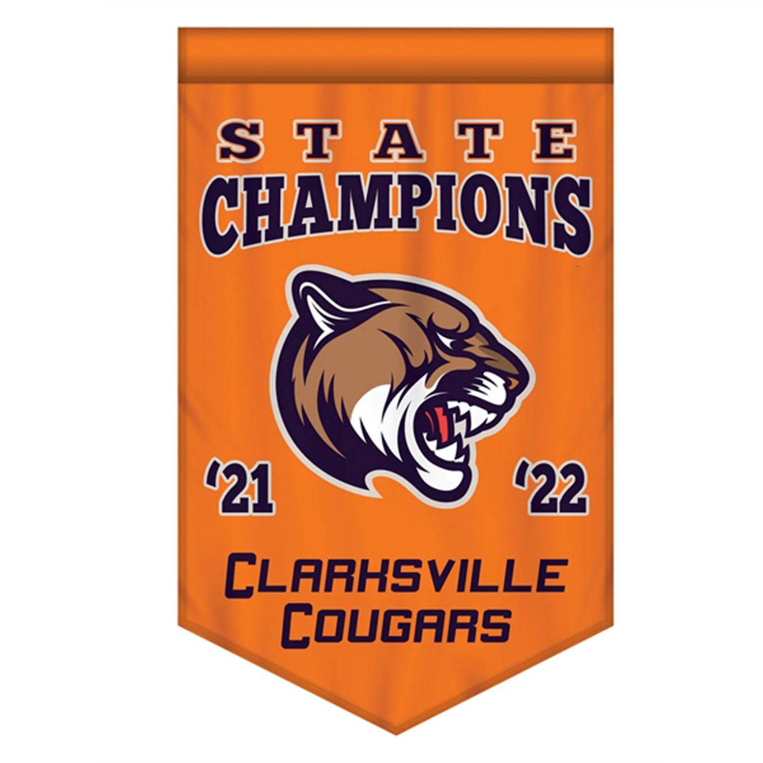 Championship Banner Double Sided V-Cut 6