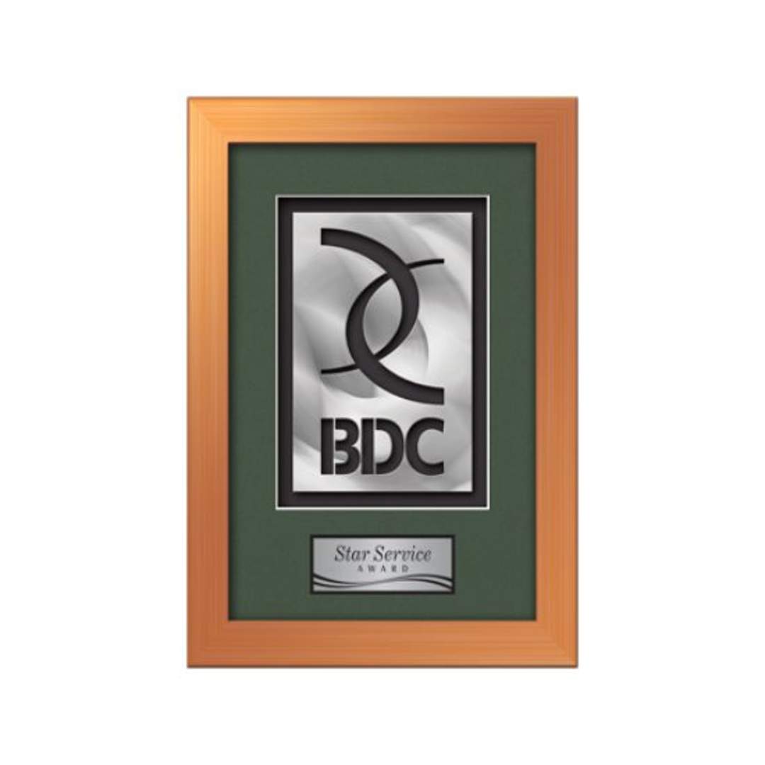 Eldridge Aquashape™ Award - Bronze 4