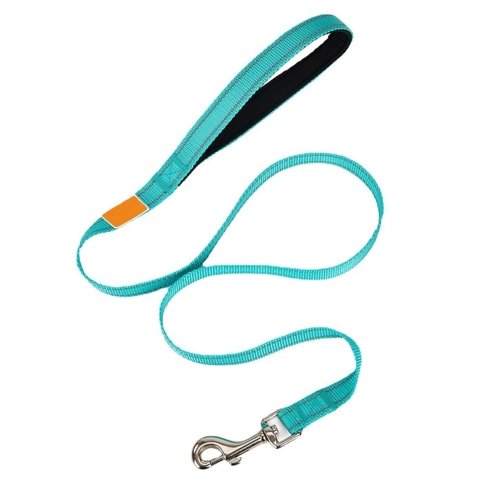 Customized Polyester Pet Leash 2