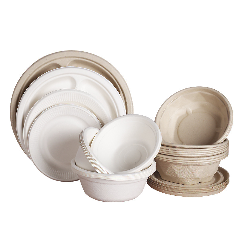 Degradable Disposable Plates 2