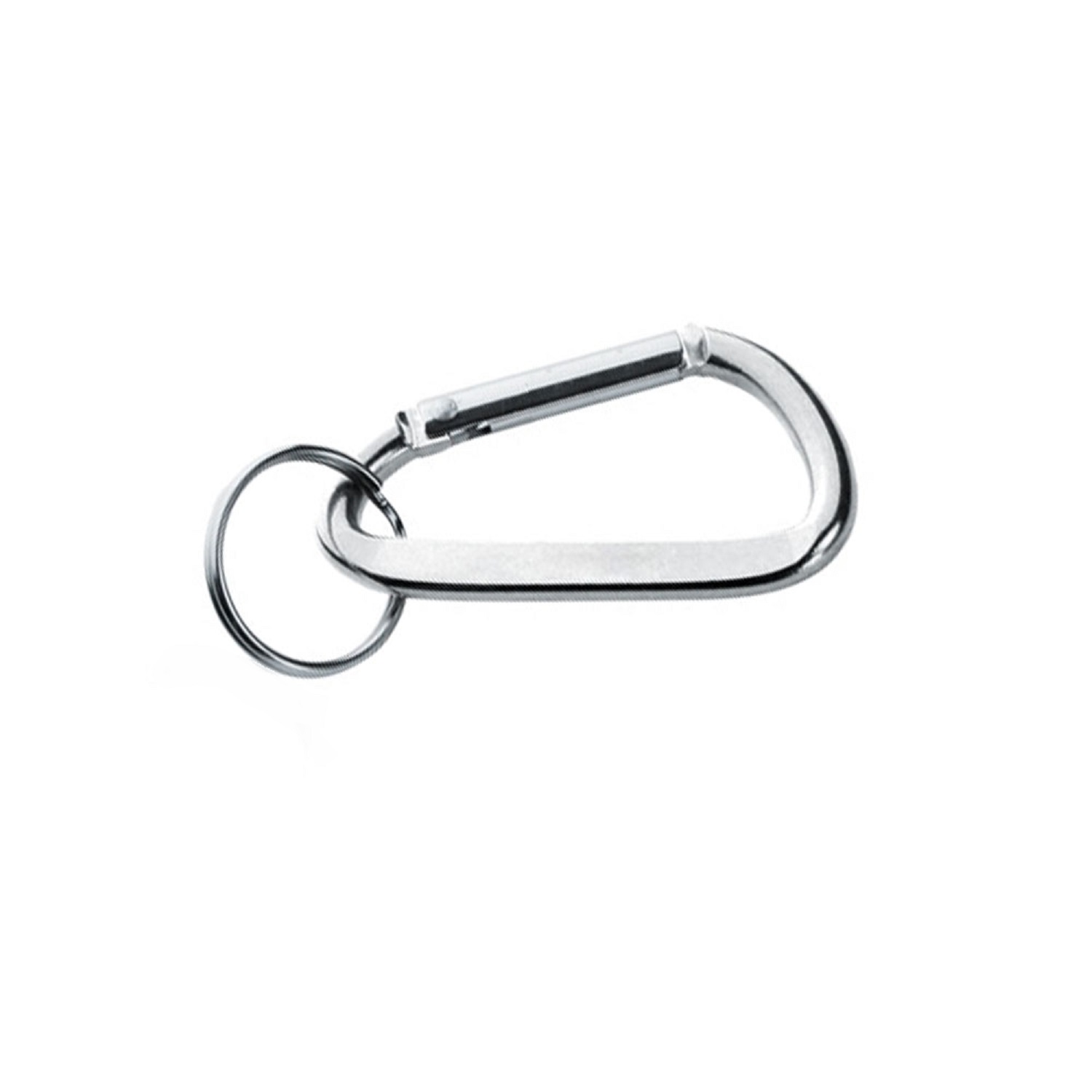 Metal Latch Carabiner Keychain 2