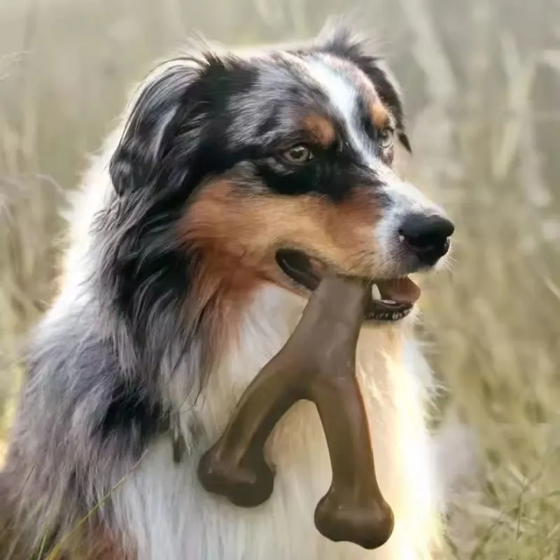 Pet Dog Bone Chew Toy 3