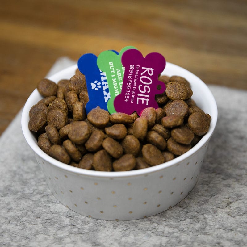 Pet Tags 3
