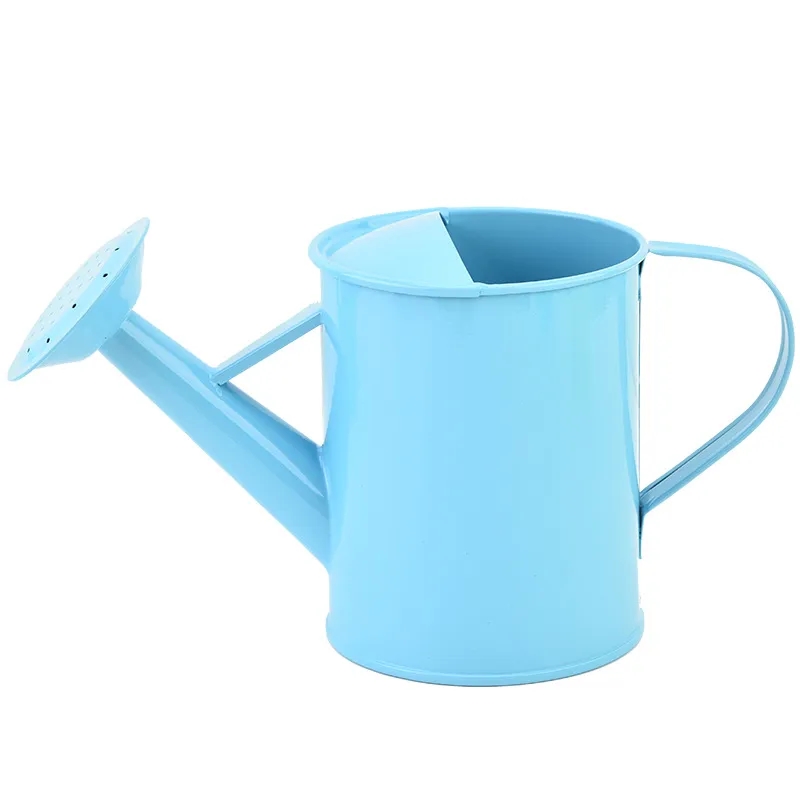 Iron Watering Can 3