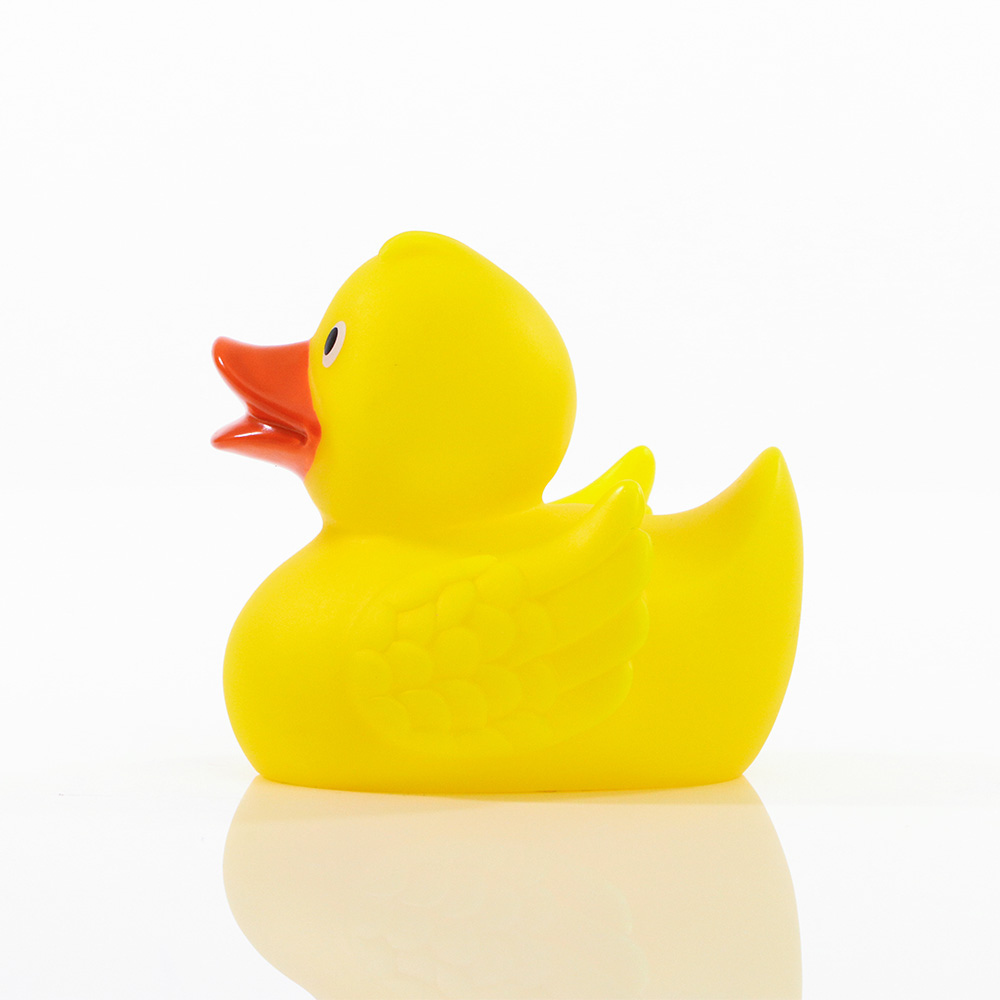 Duck With Wings 5