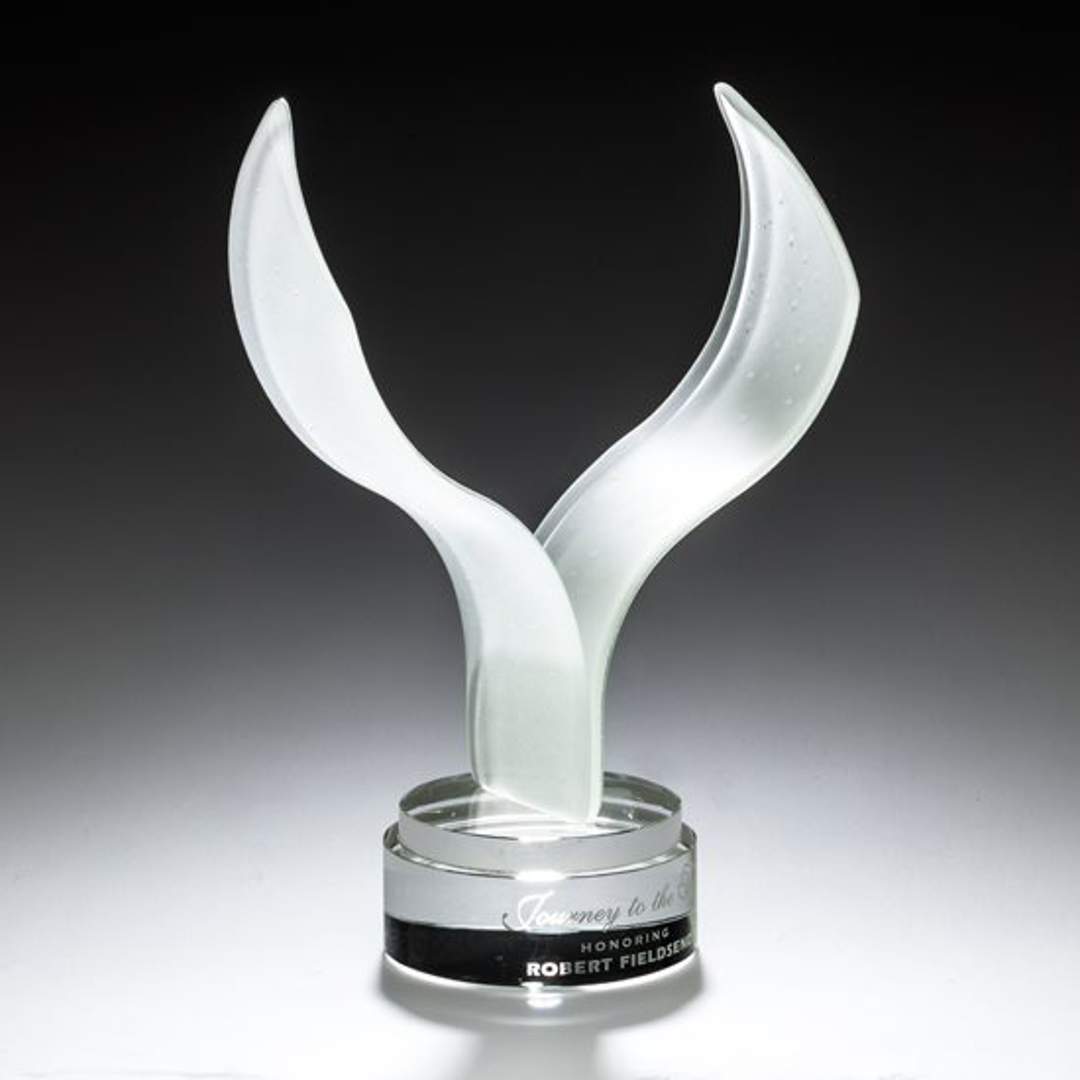 Aerial Award 4