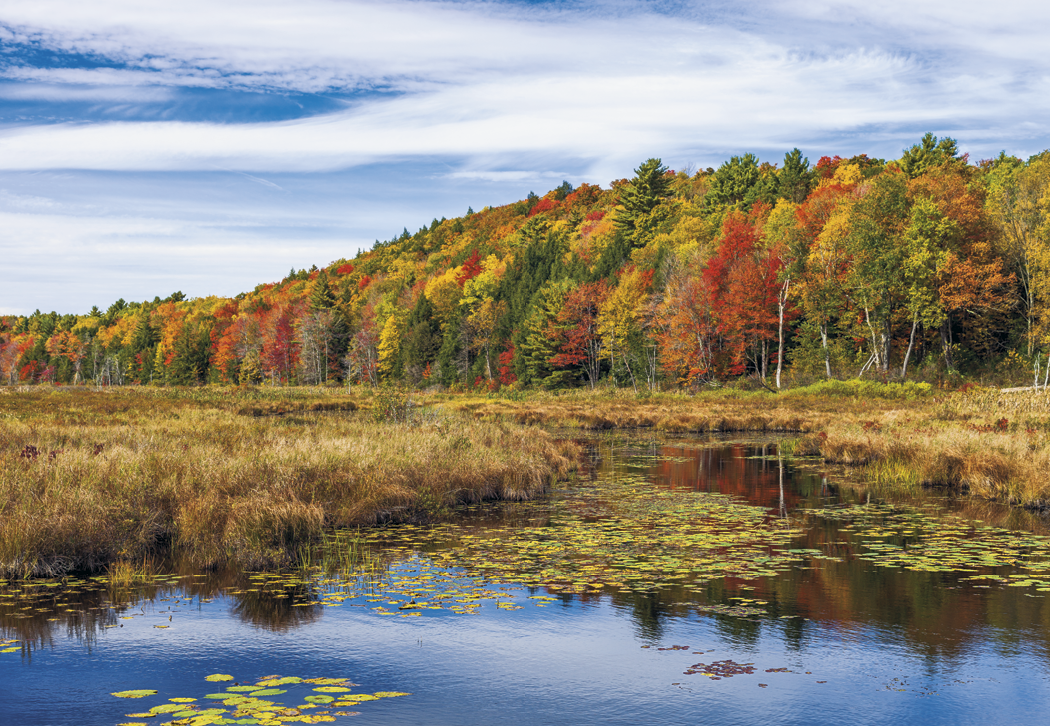 HotLine® Products Our Beautiful America® Executive Calendar 30