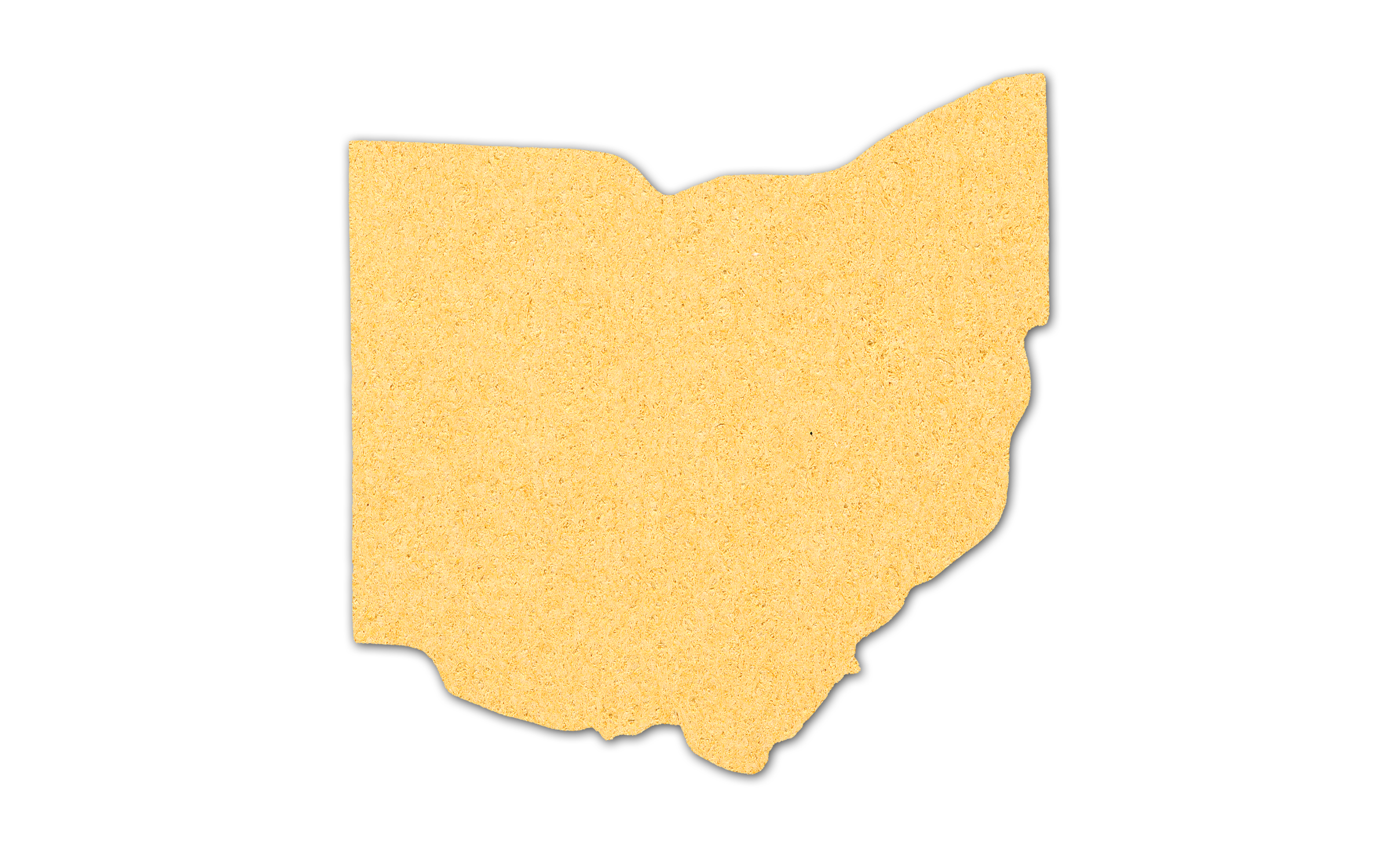 Ohio Compressed Sponge 7