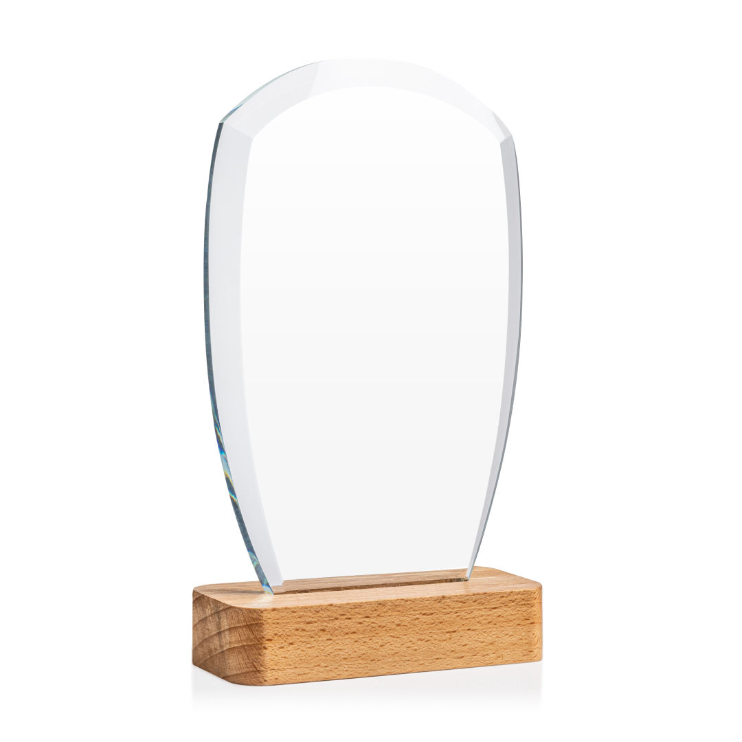 Bayshore Award 5