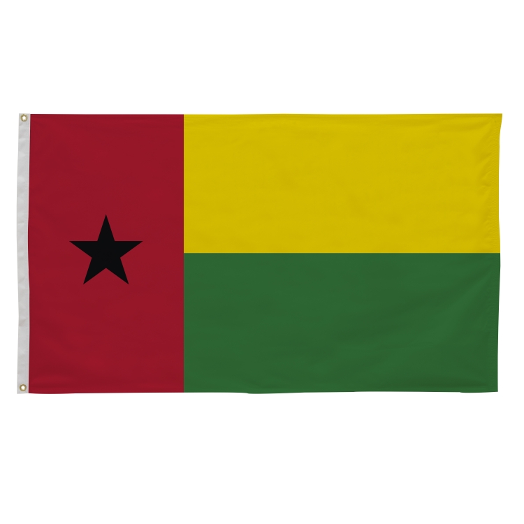 3' x 5' International Flags 228