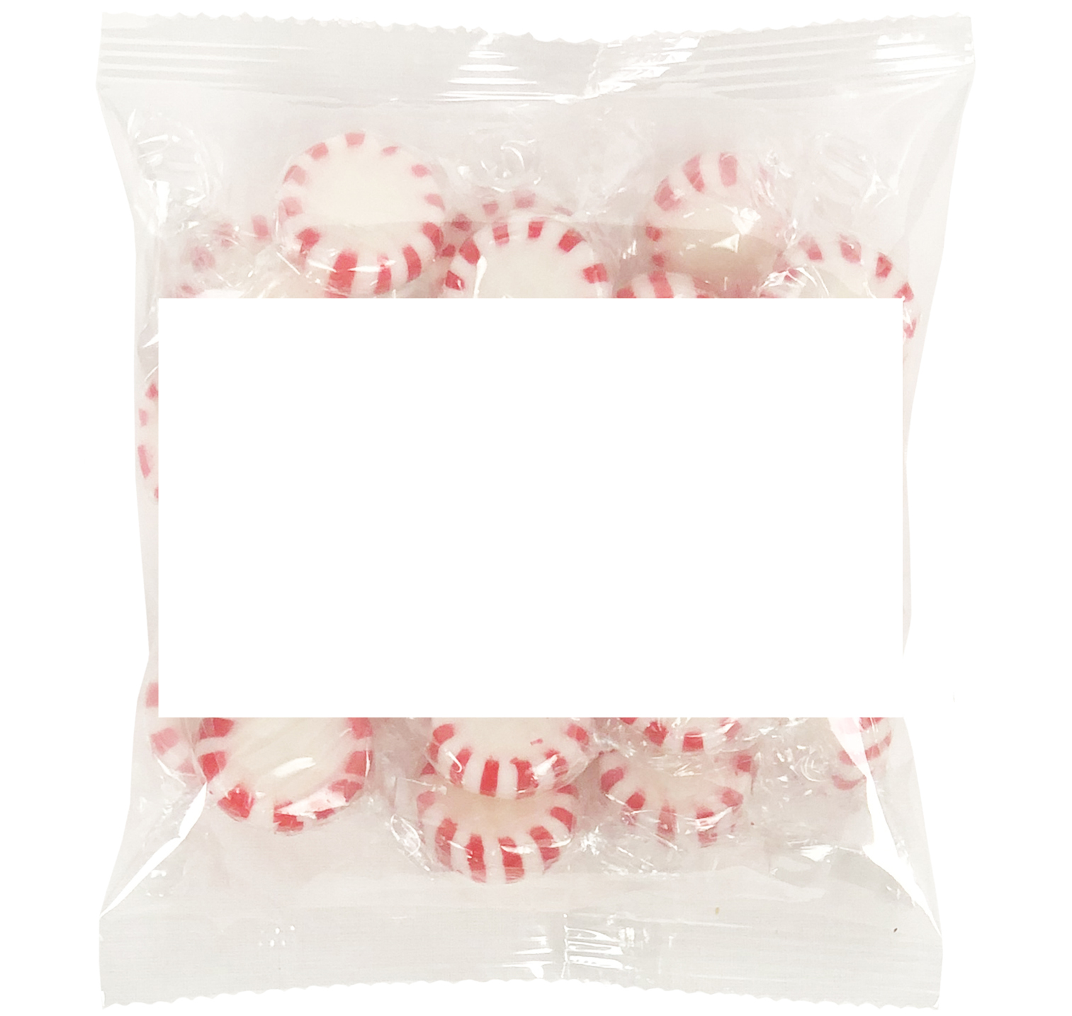 Large Snack Bag with Rectangle Magnet Standard Fill 11
