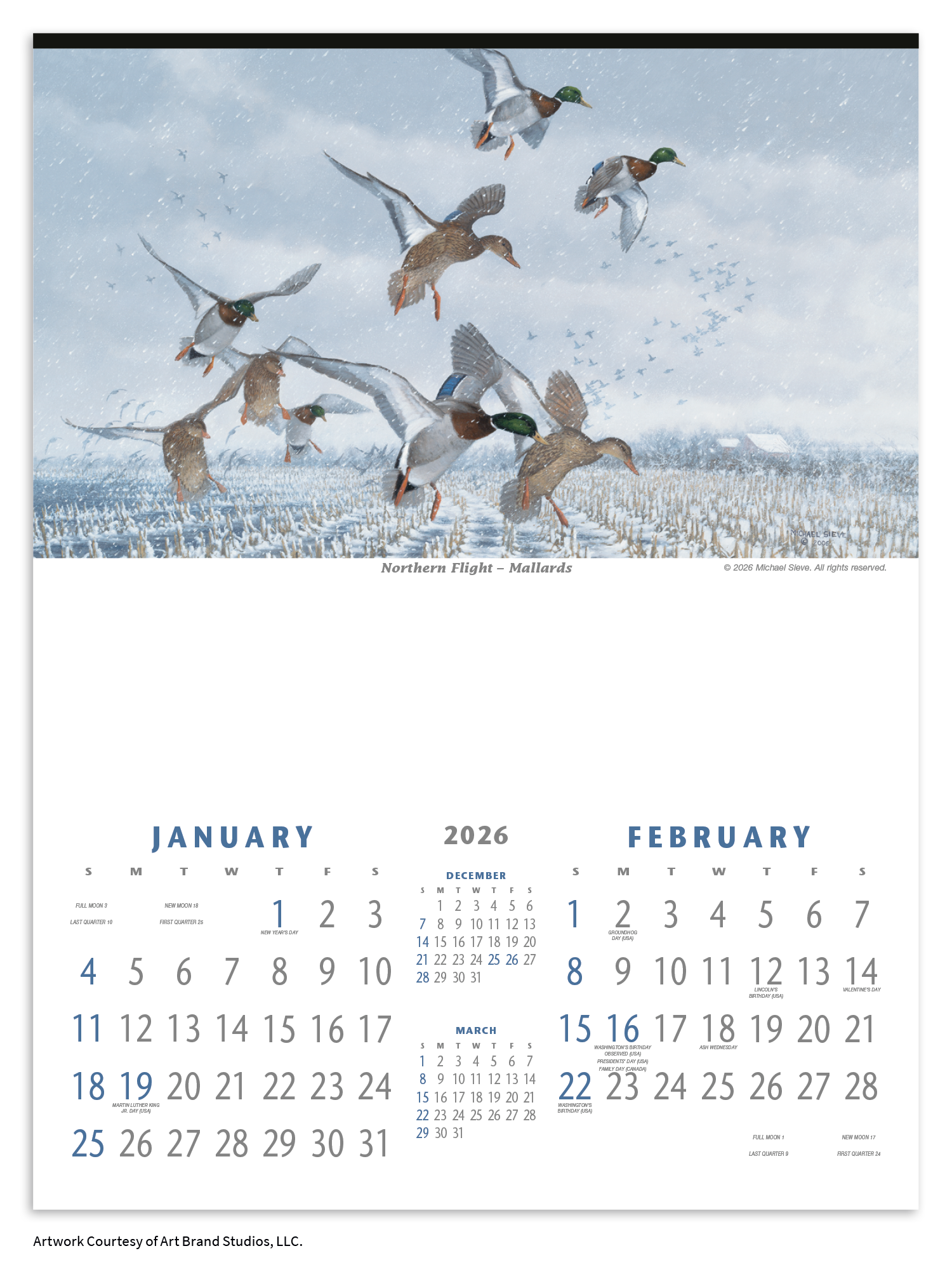 Triumph® Calendars North American Waterfowl Calendar 9