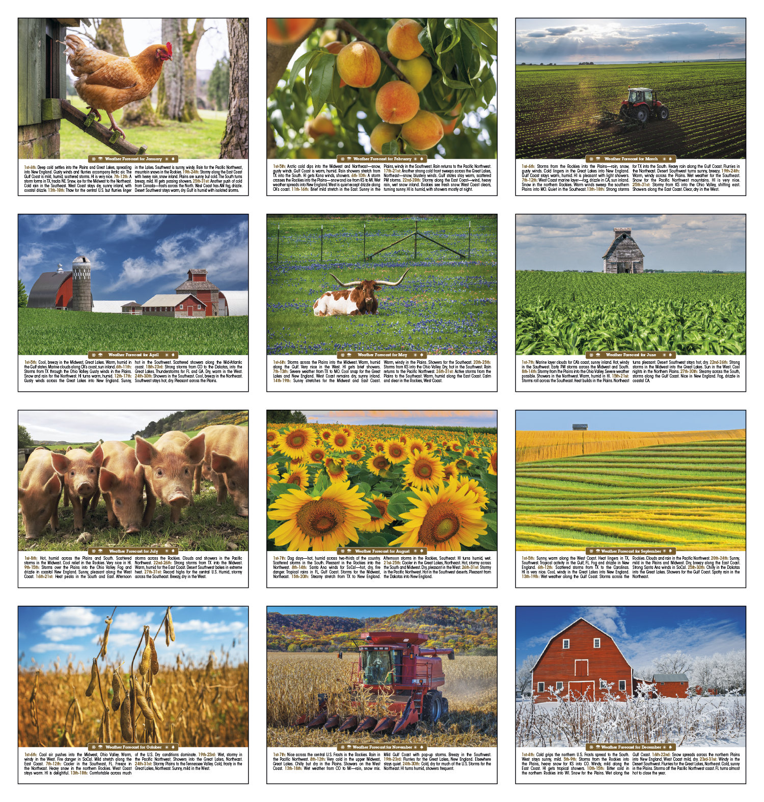 Triumph® Calendars Scenic Almanac 41