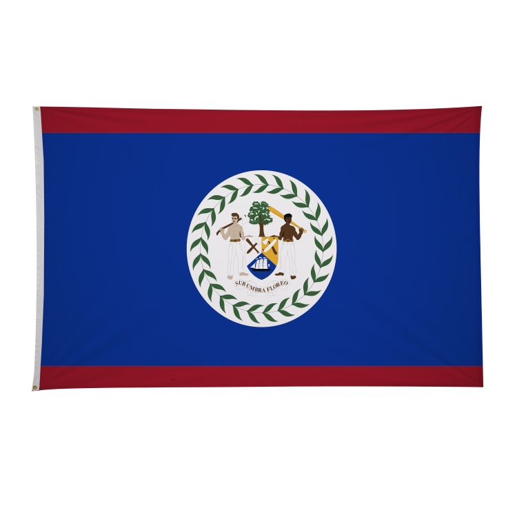 5' x 8' International Flags 285