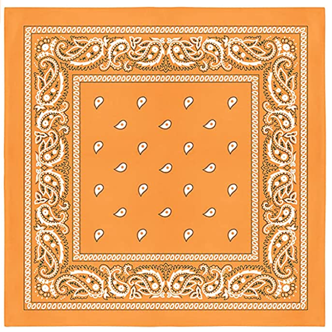 100% Cotton Bandanas Paisley Print 3