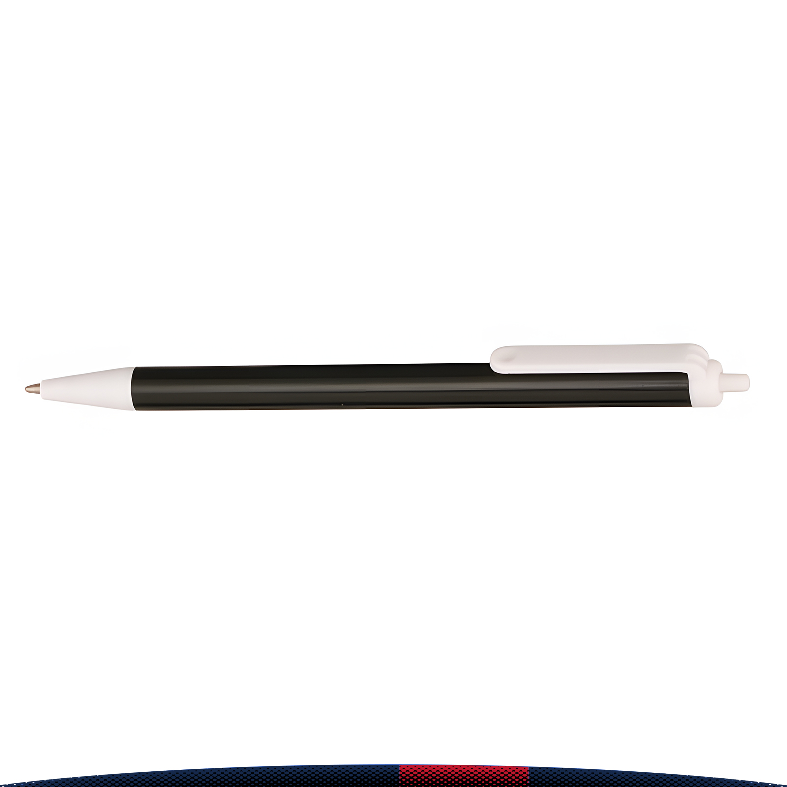 Raimi Retractable Plastic Pens 2