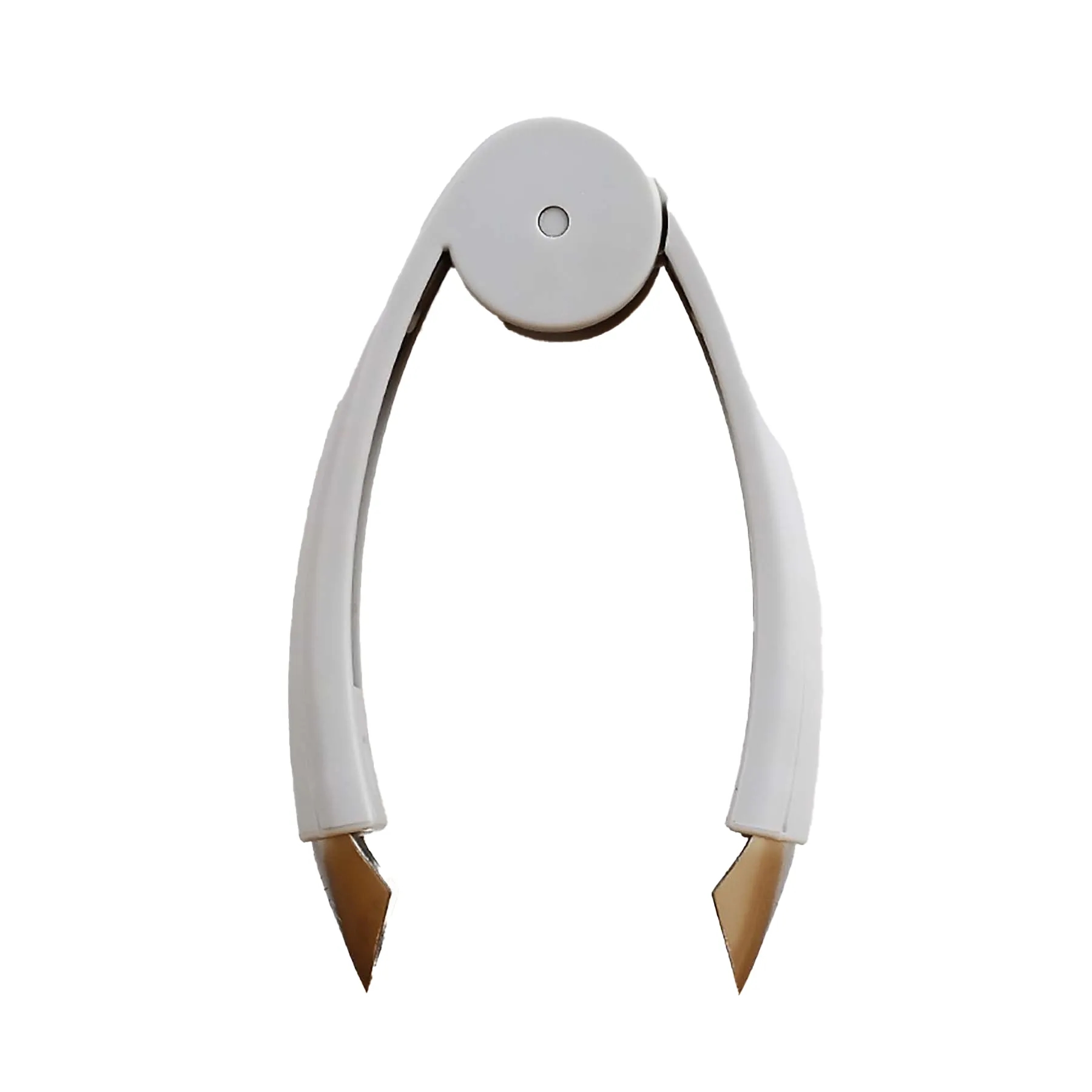 Stainless Steel PineApples Eye Remover 5