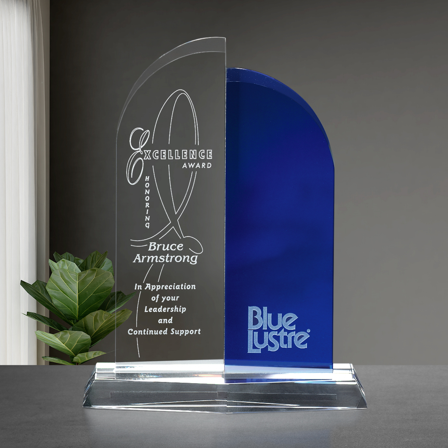 Brigadier Award 8