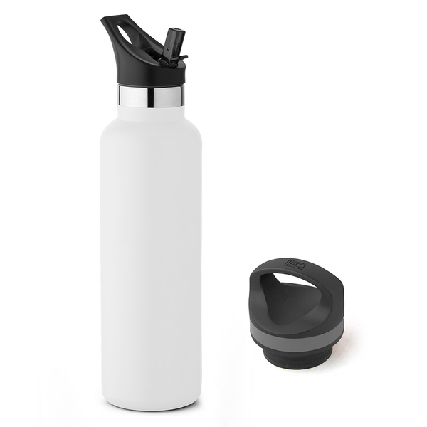 20 oz Basecamp Mesa Tundra Bottle with Screw Top and Flip-Top Straw Lid 197