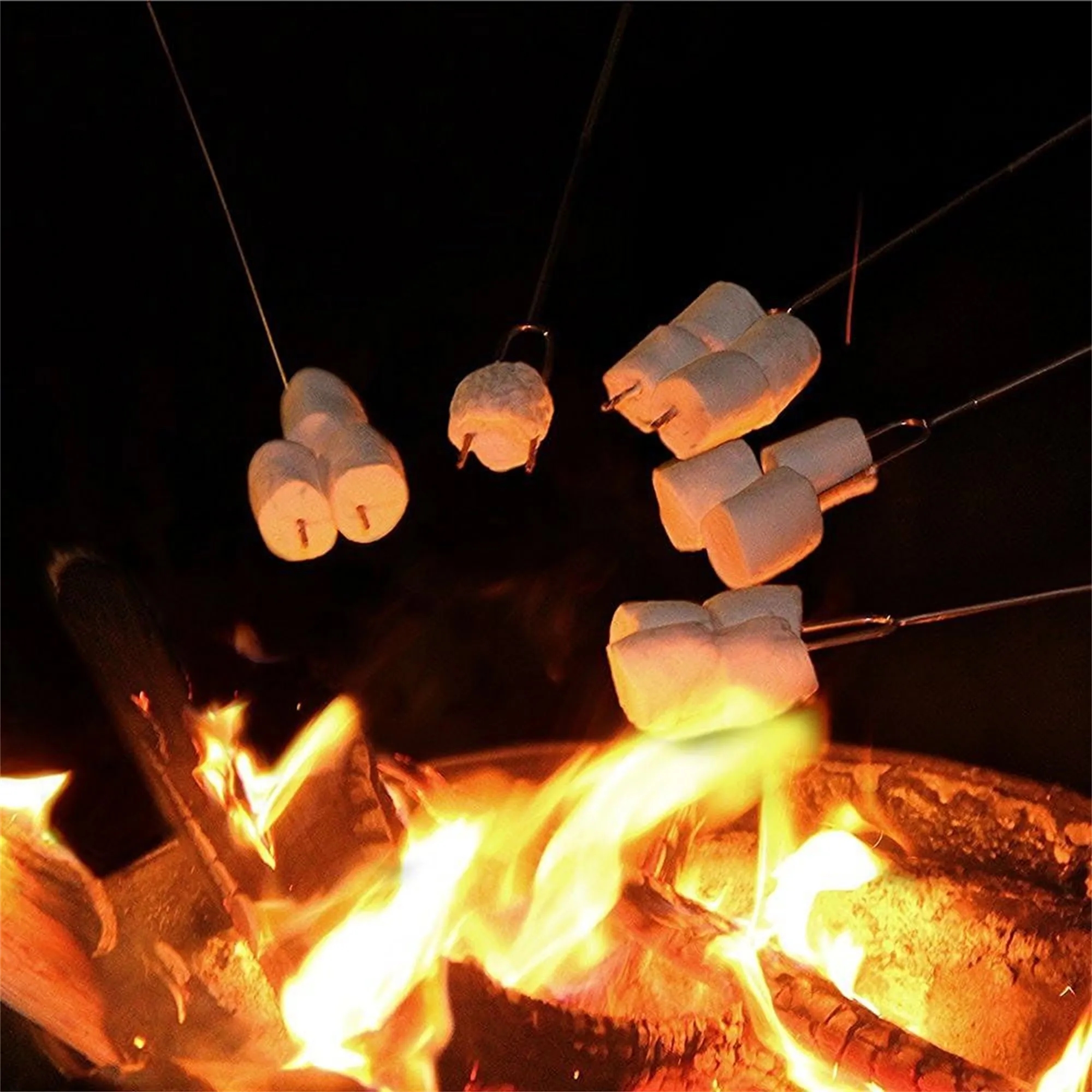 8pcs Marshmallow Roasting Sticks 16