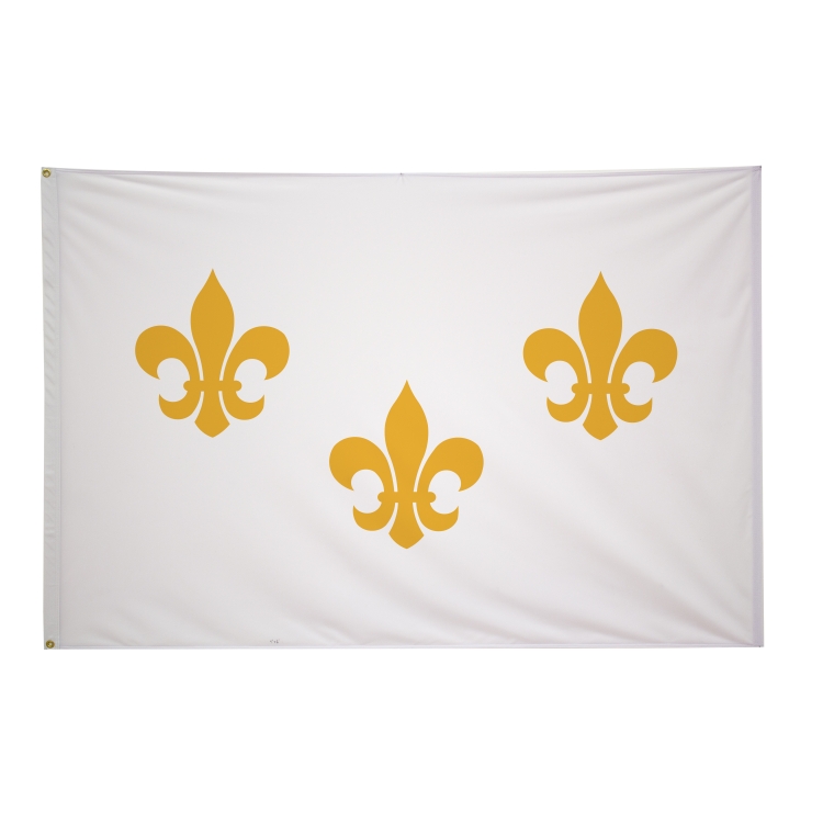 4' x 6' Historical Flags 10
