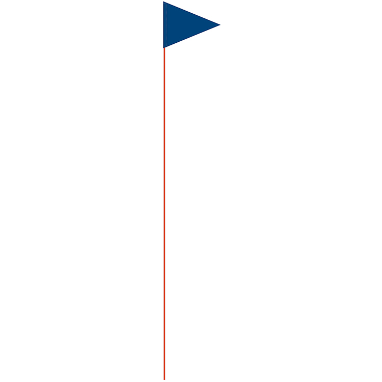 Solid Color Blue Pennant Field Flag w/Orange Staff 3