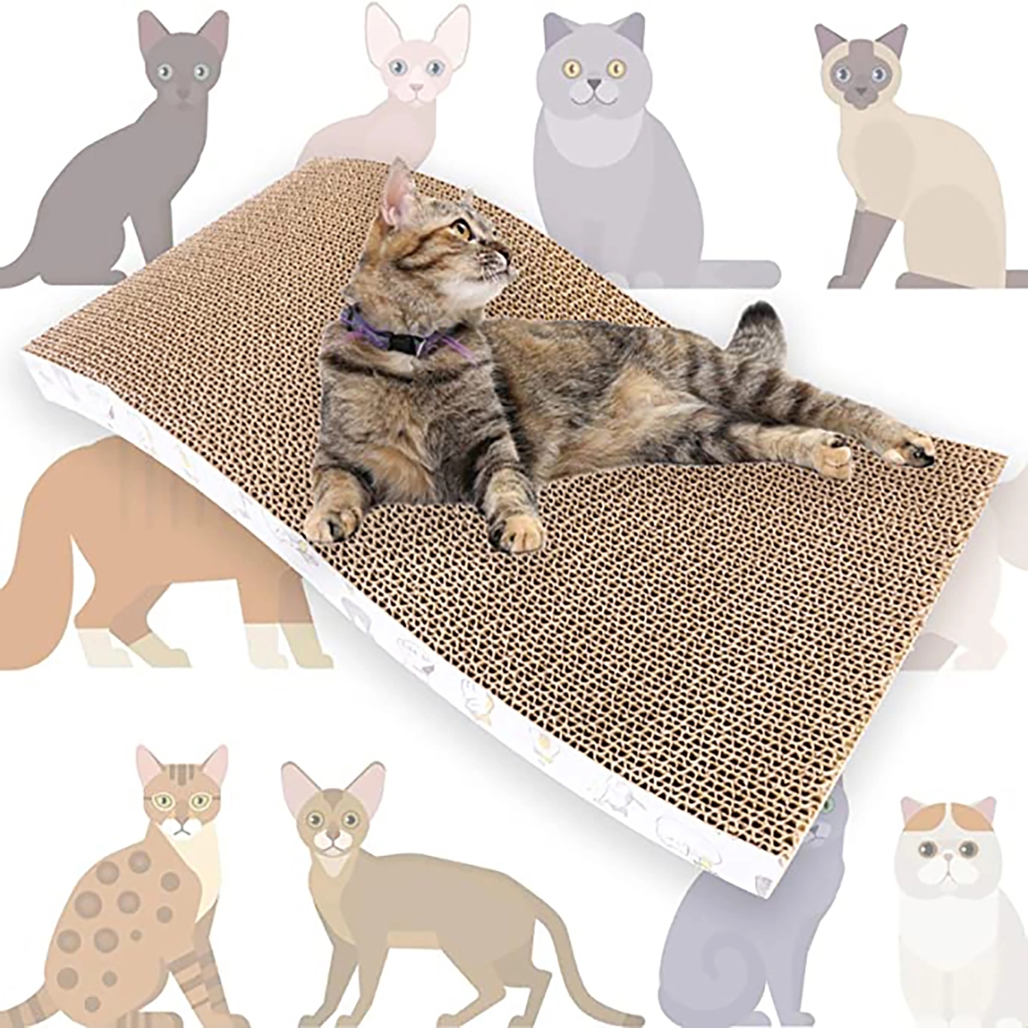 Cat Scratch Pad 2