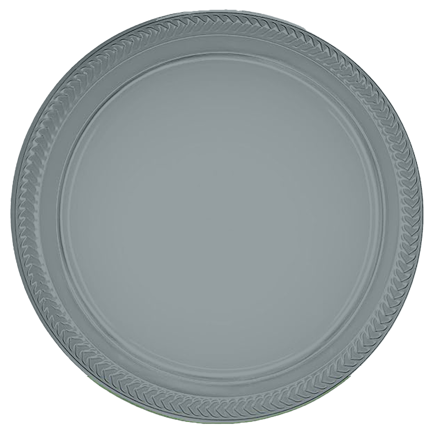 10.25" Colorware Plastic Plate 2