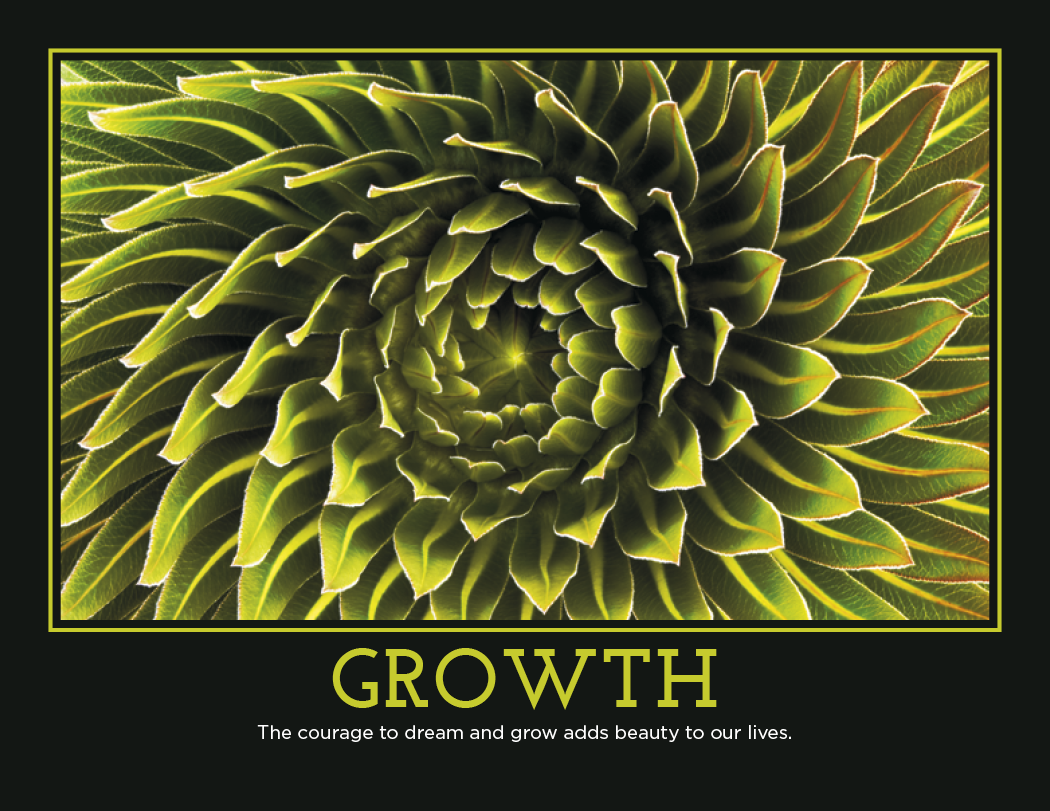 HotLine® Products Motivation Appointment Calendar (Motivational Quotes) - Stapled 8