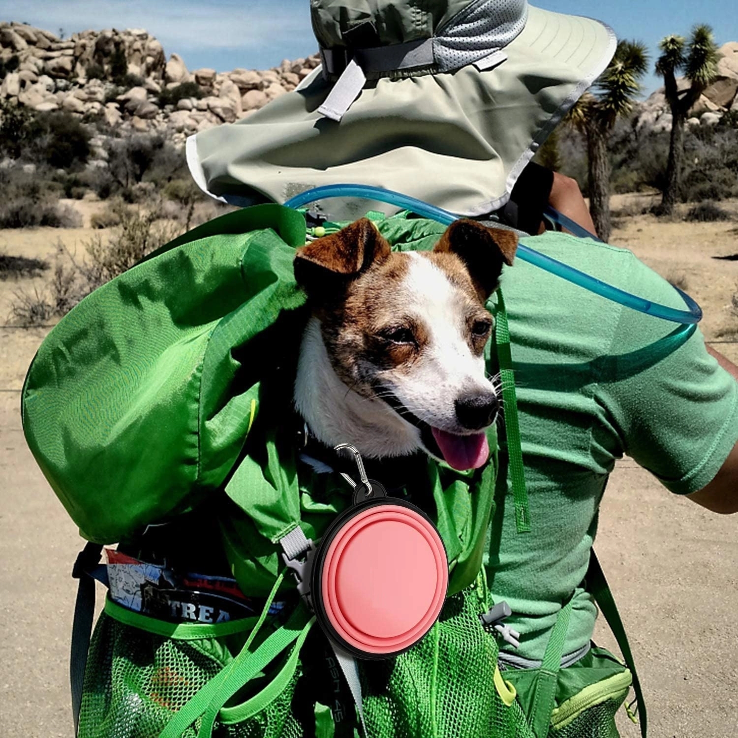 Silicone Collapsible Pet Bowl 1