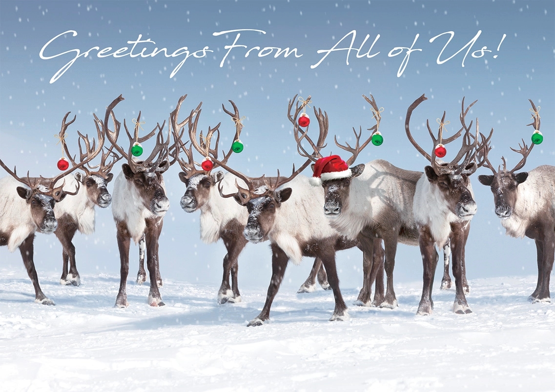 Antler Chandelier Holiday Cards 2