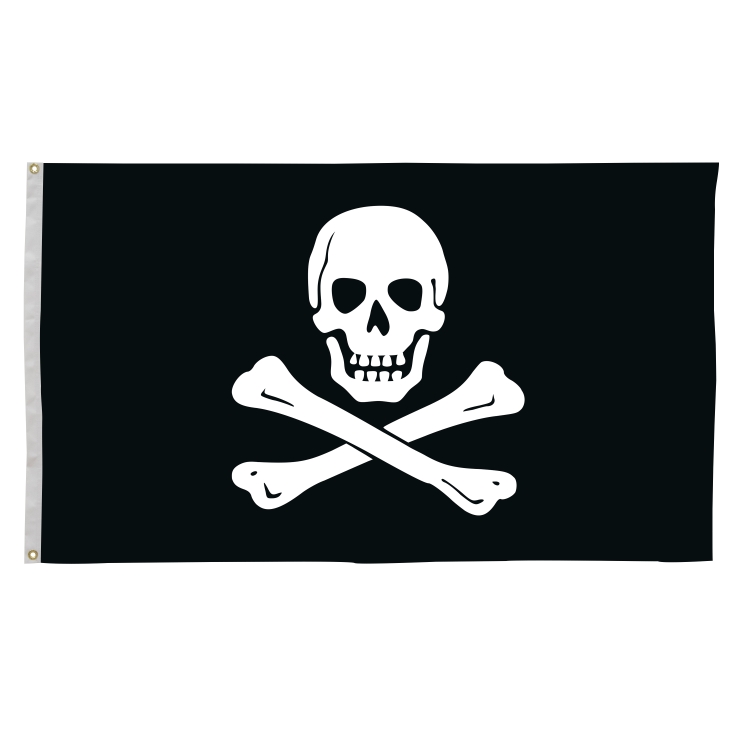 3' x 5' Historical Flags 7