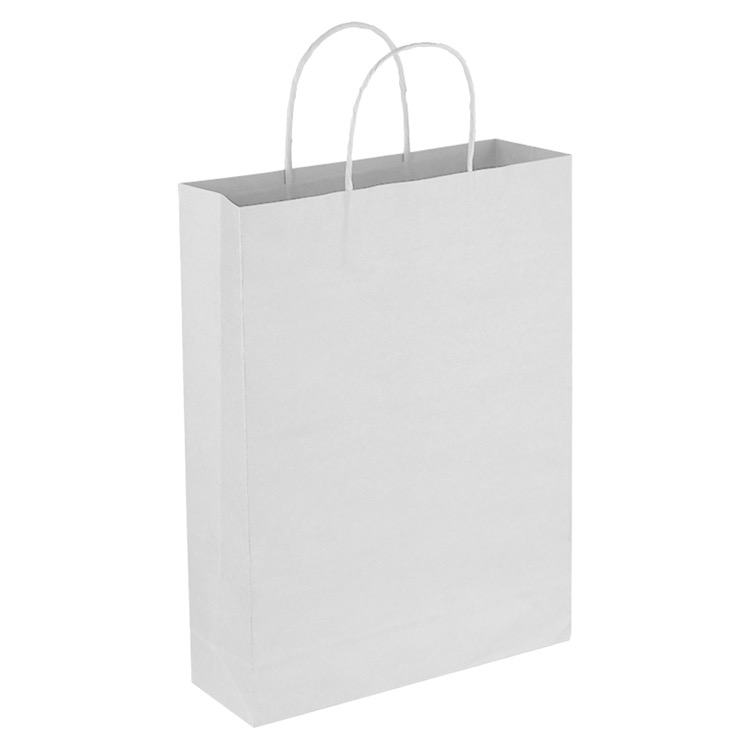 Paper Trade Show Bag 4