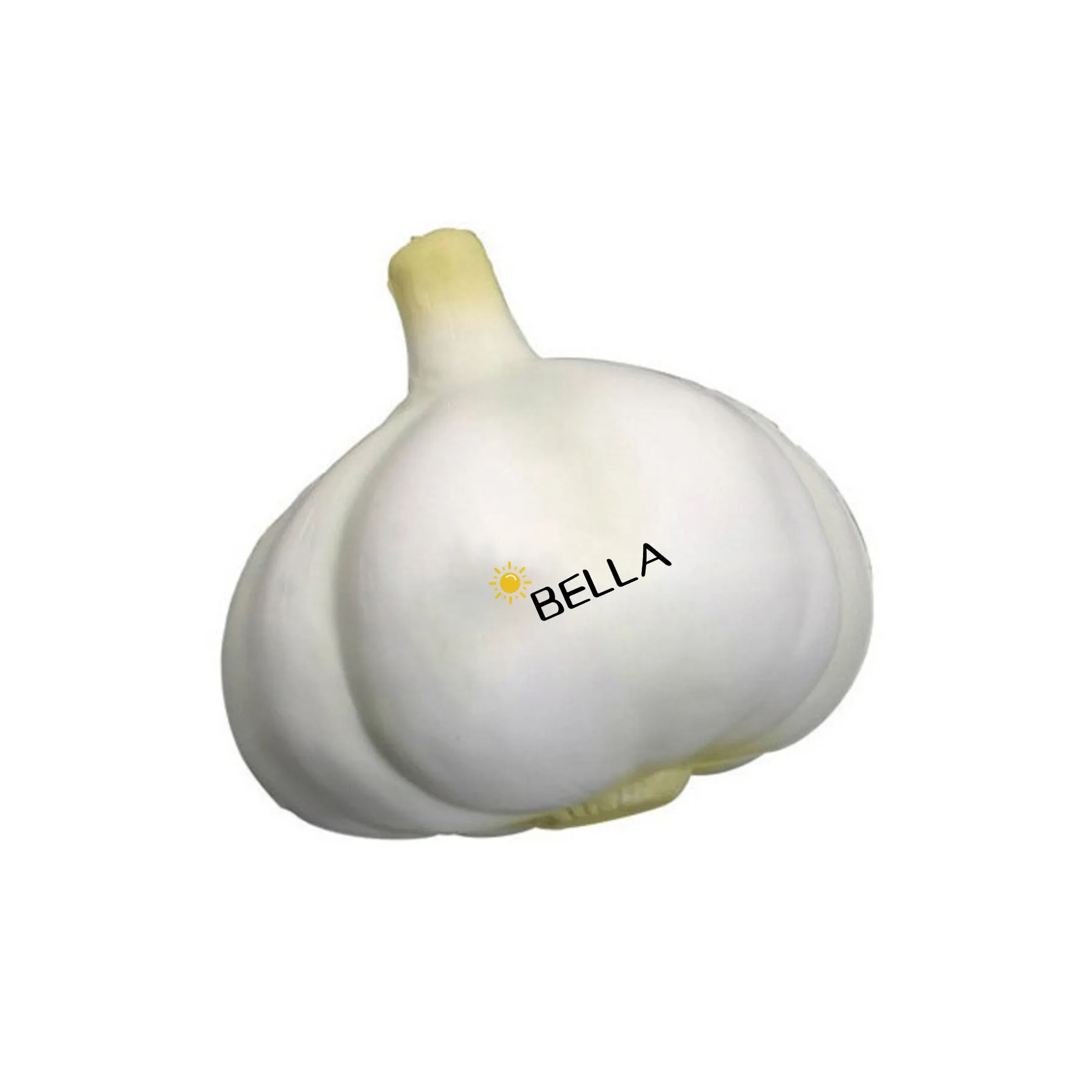 Vegetable PU Stress Reliever 9