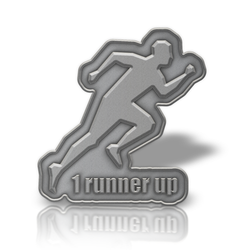 Solid Iron Lapel Pin with Dual Plating 14
