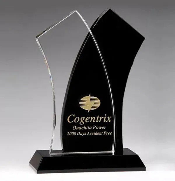 Tuxedo Wave Crystal Award 1