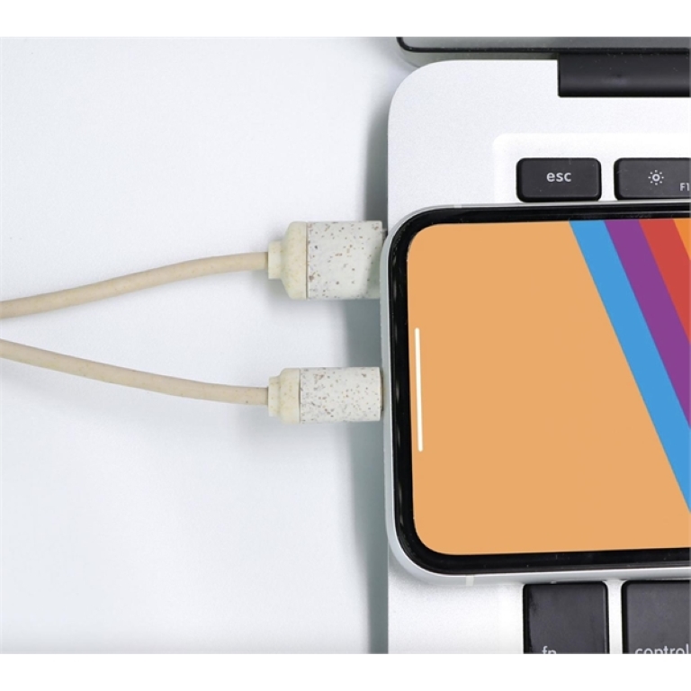 Eco-friendly 3-In-1 Charging Buddy With Key Chain 6