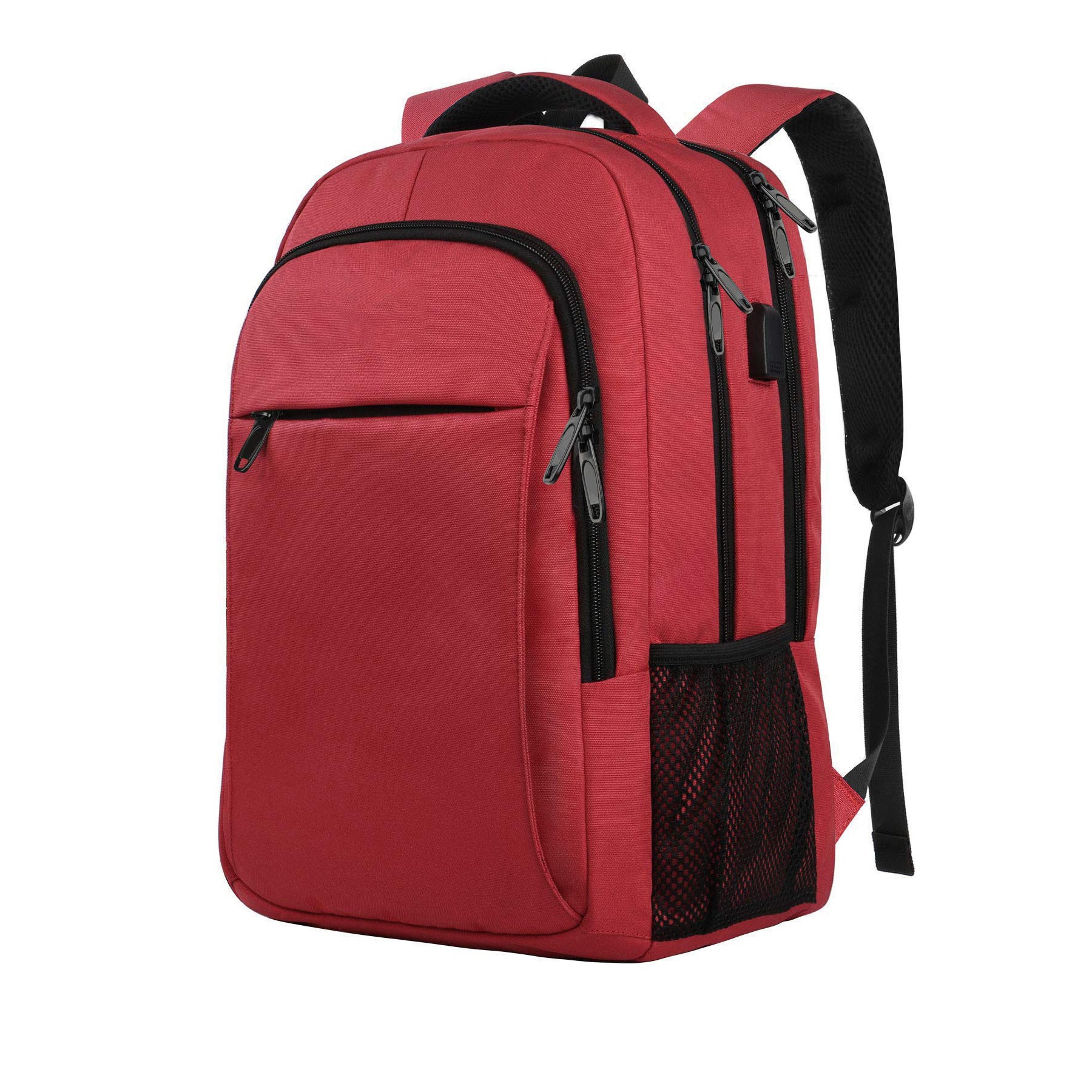 Laptop Backpack 4